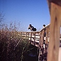 2006_11_Everglades0020.jpg