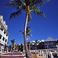 2006_11_Key West0014_resize.jpg