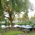 DSC02829.JPG