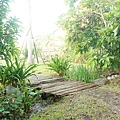 DSC02861.JPG