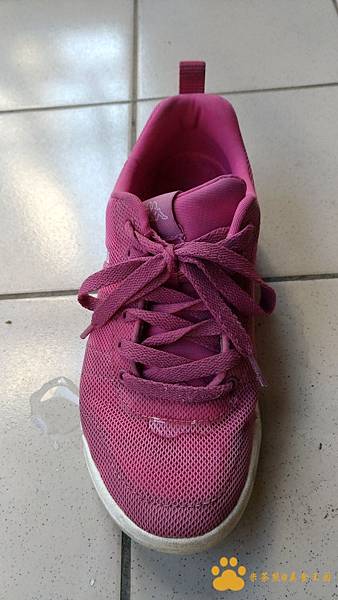 P_20170712_084319_vHDR_On.jpg.jpg