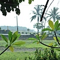 EYE_1619.jpg
