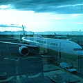 IMG_1176.JPG