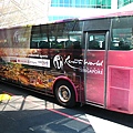 IMG_1234.JPG