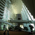 IMG_1241.JPG