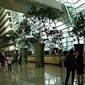 IMG_1252.JPG