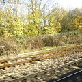 along the railway
