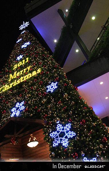 2011Xmas01.jpg 2011Xmas01.jpg
