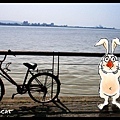 碼頭和兔子.jpg