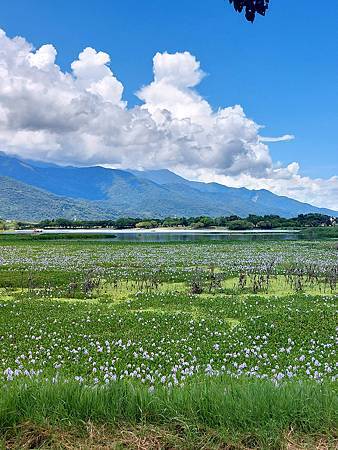 台東藝文旅105.jpg