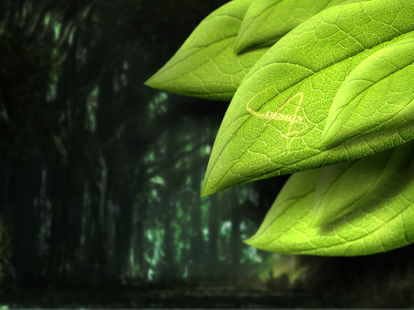 leaf拷貝.jpg leaf拷貝.jpg