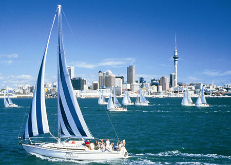 auckland450