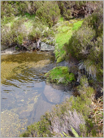 Water-Source.jpg Water-Source.jpg