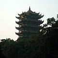 PA220203.JPG