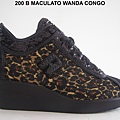 200 B MACULATO WANDA CONGO.JPG