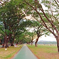 Clark Park-Parade Grounds3