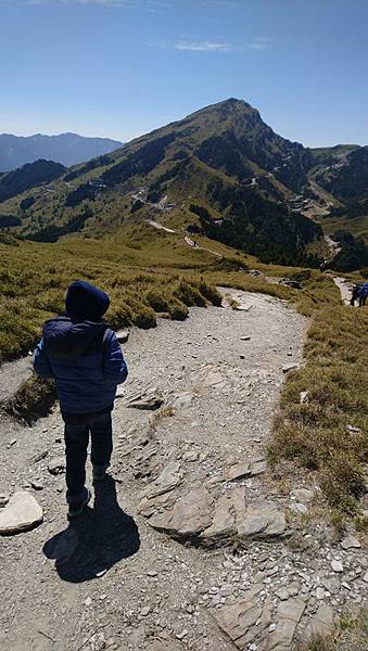 南投合歡山武嶺 石門山步道 清境紙箱王 Dsc 4549 Jpg Gloria0668 的相簿 痞客邦