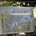 200912山仔后-n.jpg