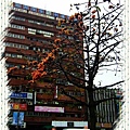 201003記事-6-3.jpg