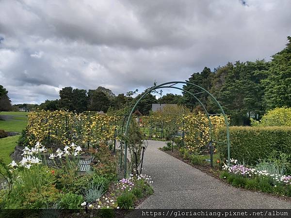 NZ Auckland Botanic Gardens 20