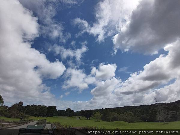 NZ Auckland Botanic Gardens 20