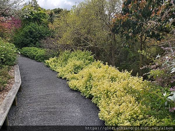 NZ Auckland Botanic Gardens 20