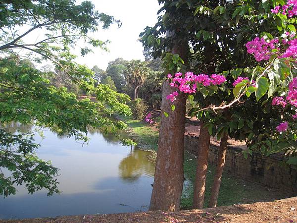 Angkor 789