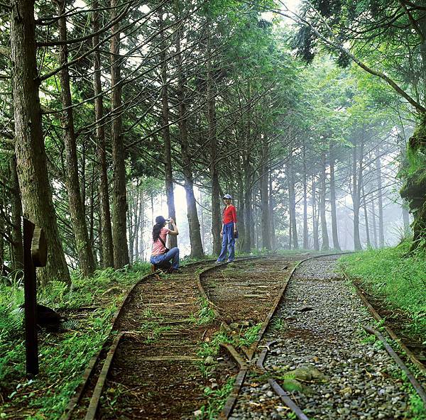 269_102-2_運材軌道遺跡 Remains of Hauling Railway.jpg