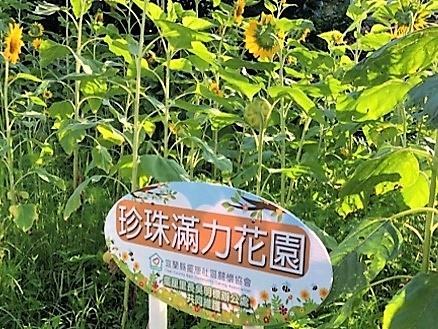 珍珠活力花園1.jpg