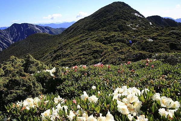 我們爬山的路上_李惟陽_20180526