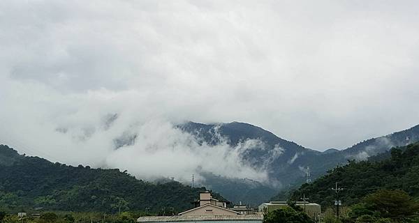 人生很難，再苦也要學著讓自己快樂；在不美麗之處，也要學會看見美麗，這是我的生存之道。於是，日日是好日呀。祝大家新年快樂！ 黃淑瑩攝.jpg