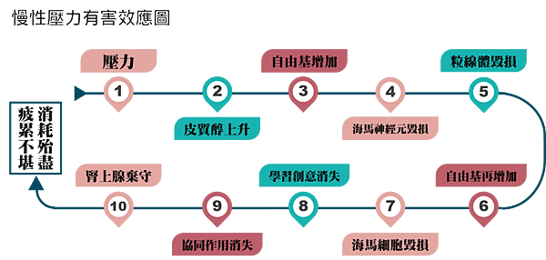 慢性壓力有害效應圖.png