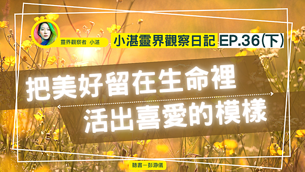 小湛YT36下.png