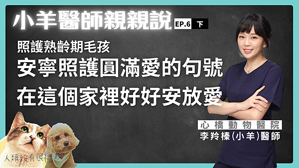 小羊6下_0.png