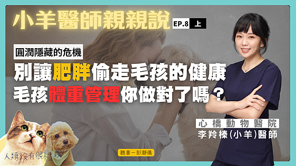 小羊8上N_0.png