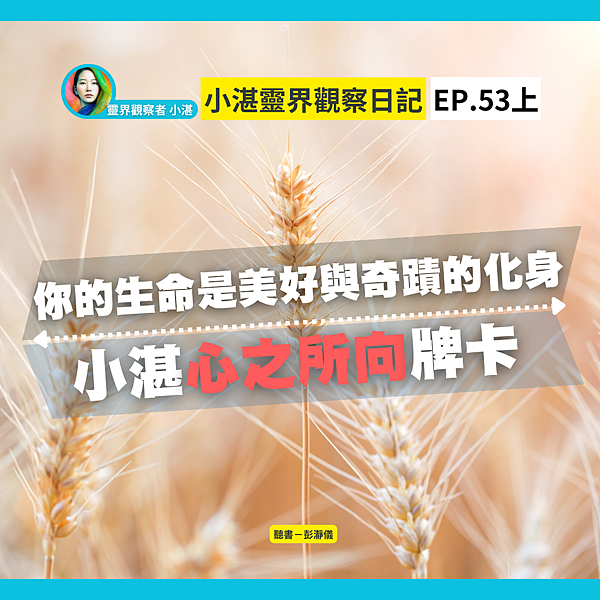小湛53上F.png