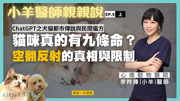小羊9上01_0.png