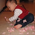 what fun playing with rose petals.JPG