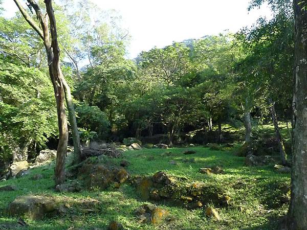 P1080360 P1080360