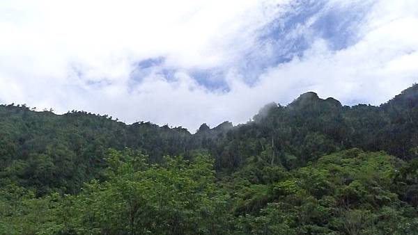 P1090452 P1090452