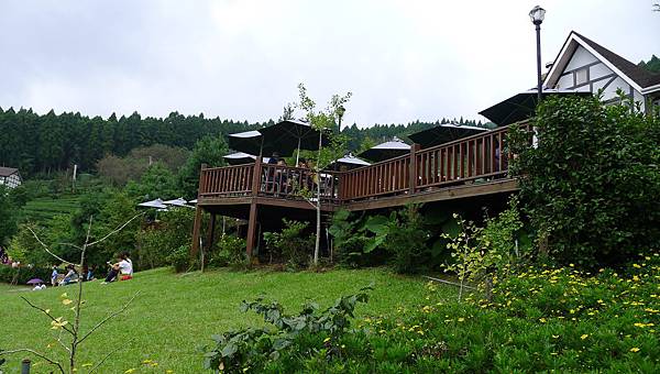 P1100015 P1100015