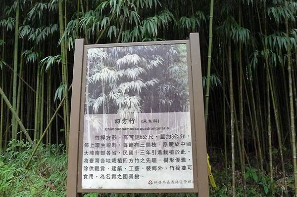 P1100094 P1100094