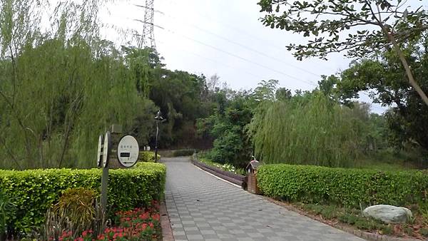 P1110029 P1110029