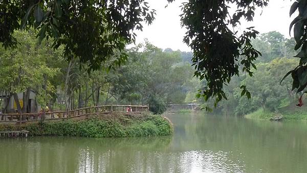 P1110008 P1110008
