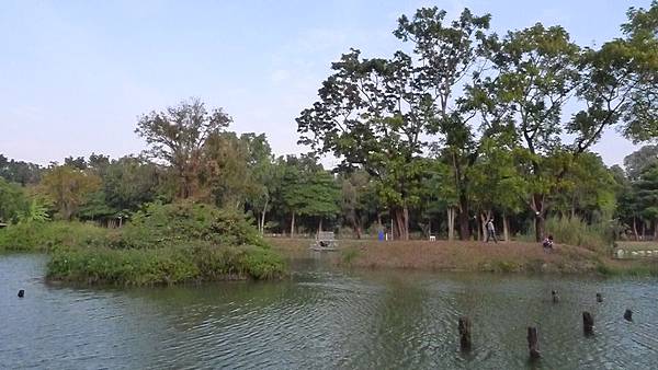 P1110384 P1110384
