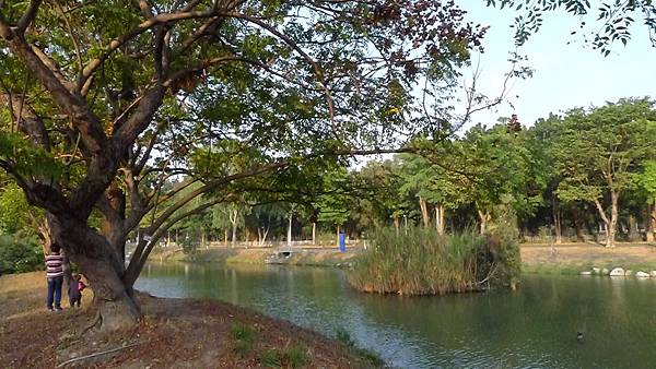 P1110390 P1110390