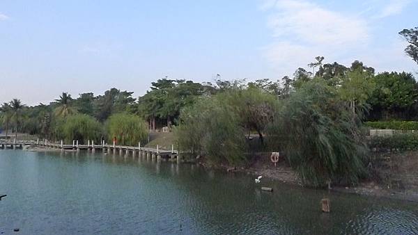 P1110425 P1110425