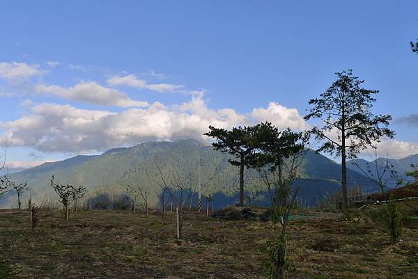 青山白雲