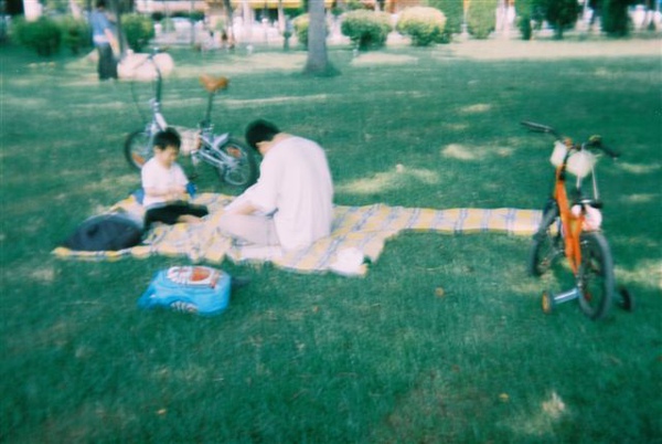 picnic- the afternoon