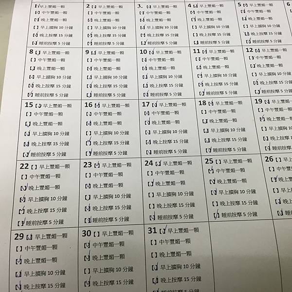 豐胸計畫 豐胸計畫